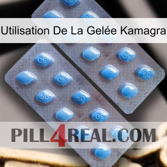 Utilisation De La Gelée Kamagra viagra4